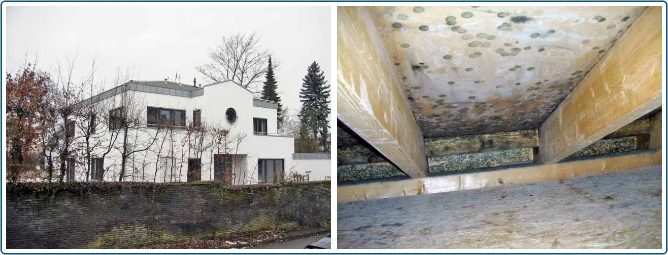 Gebäudeansicht und Schimmelbefall an der Unterseite einer Vollschalung als Beispiel für die Ursachenprüfung